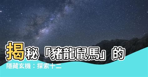 豬龍鼠馬的意思|佛教的十二神獸